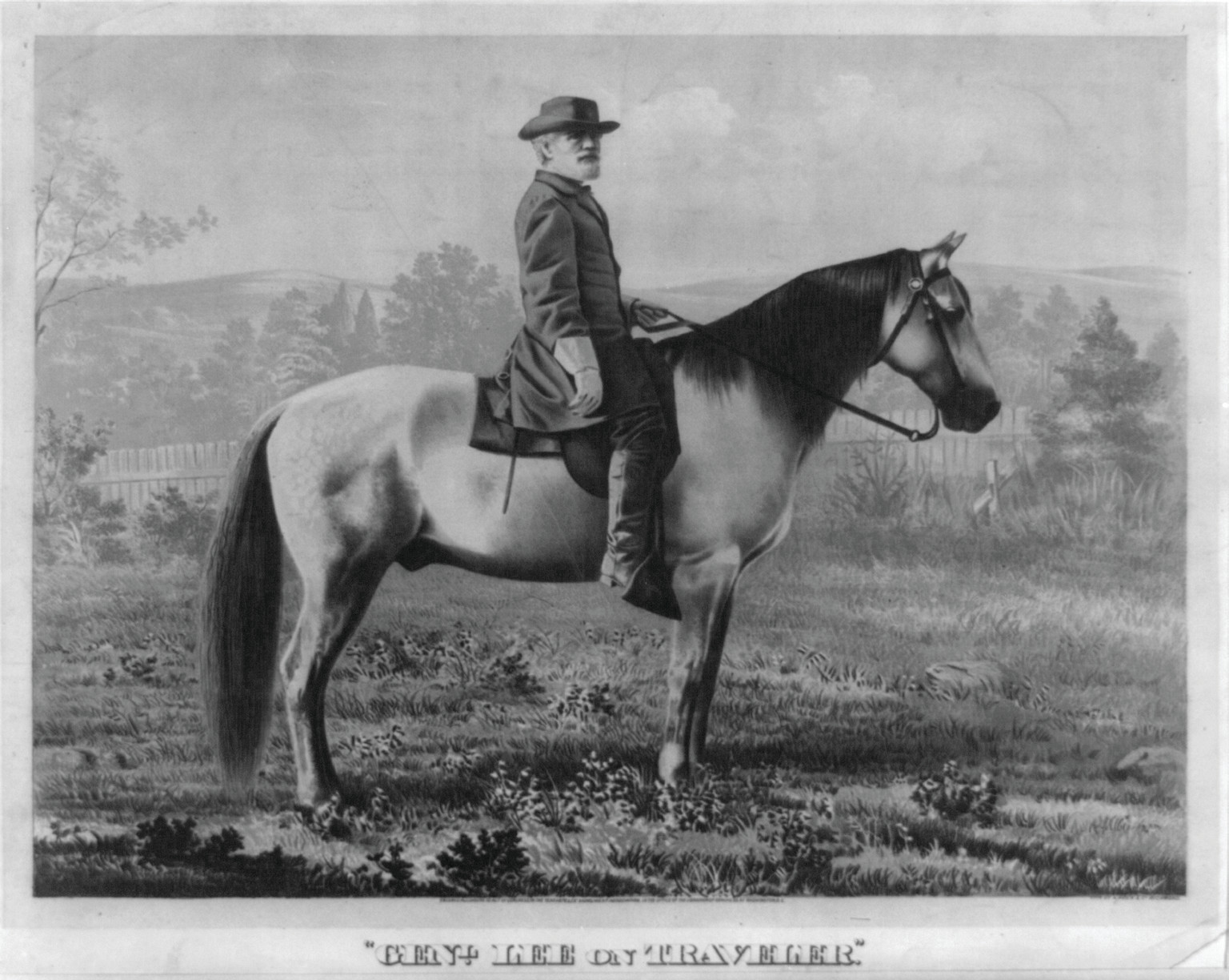 Genl. Lee on Traveler" photographed from life", [no date recorded on shelflist card] — historic photograph