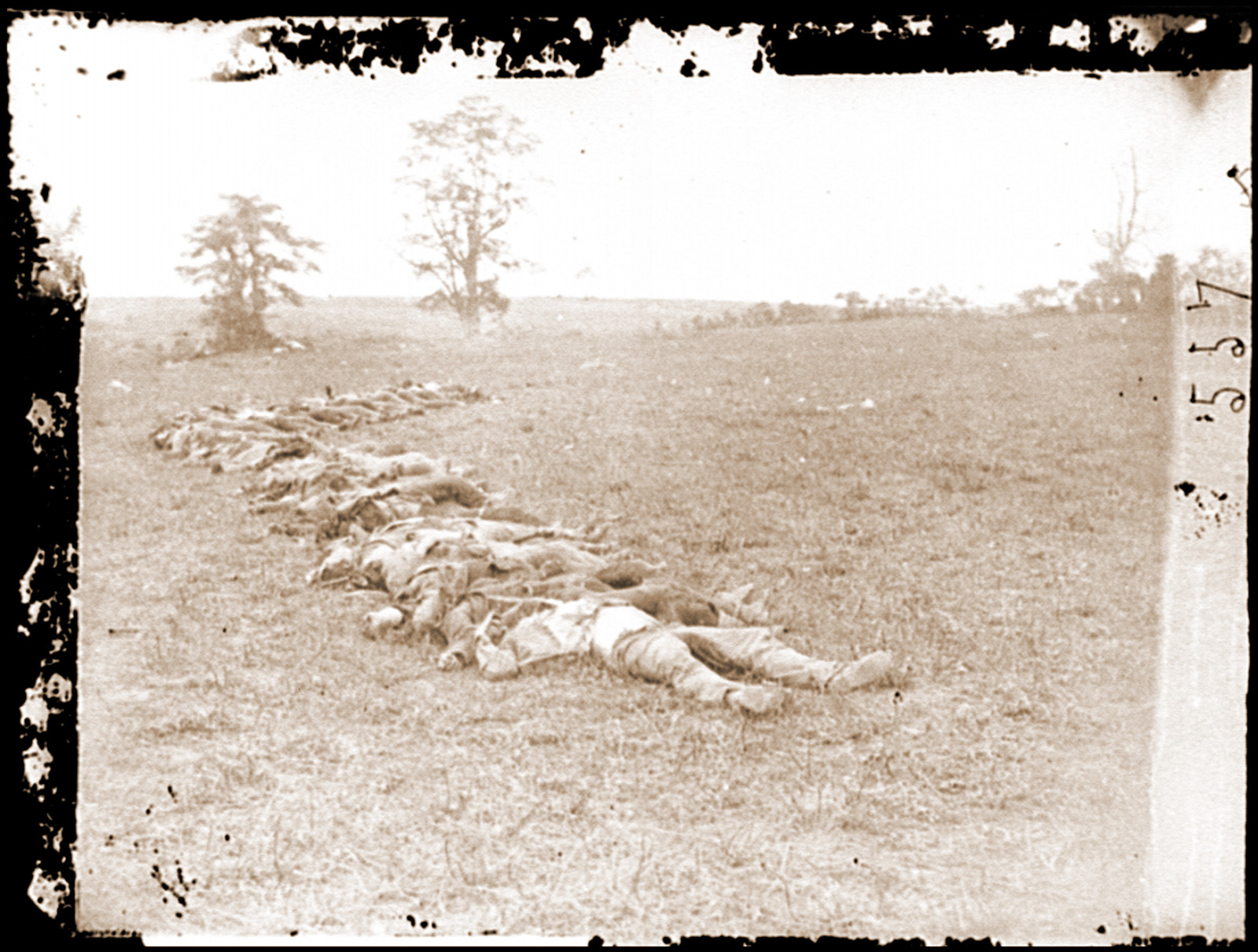 Antietam Md. Bodies of Confederate dead gathered for burial, 1862 — historic photograph