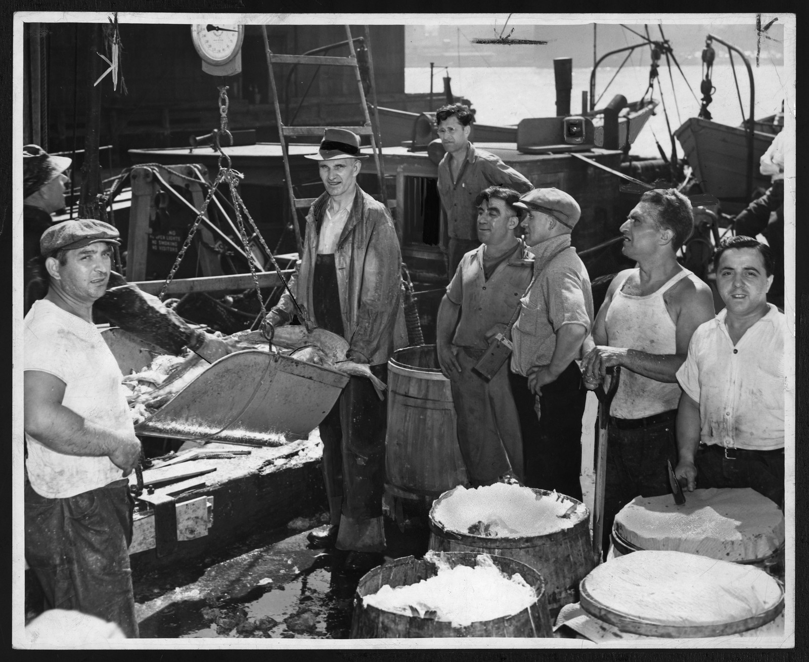 Men handling salted fish on a dock by barrels — historic image