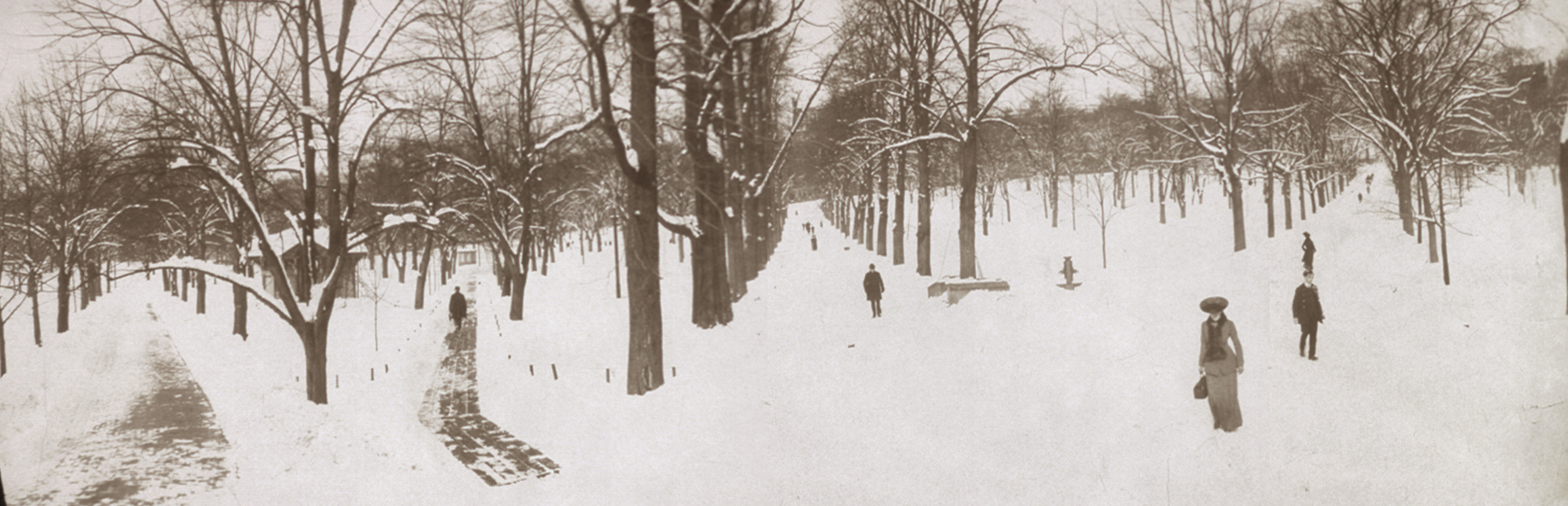 Boston Common, Massachusetts, 1904, 1904 — historic image