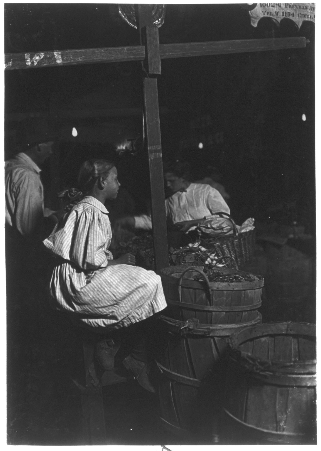 Radishes! Penny a bunch!" Sixth St. Market and until 11 P.M. Aug.22 1908. Location: Cincinnati, ncl2004000073/PP — historic photograph