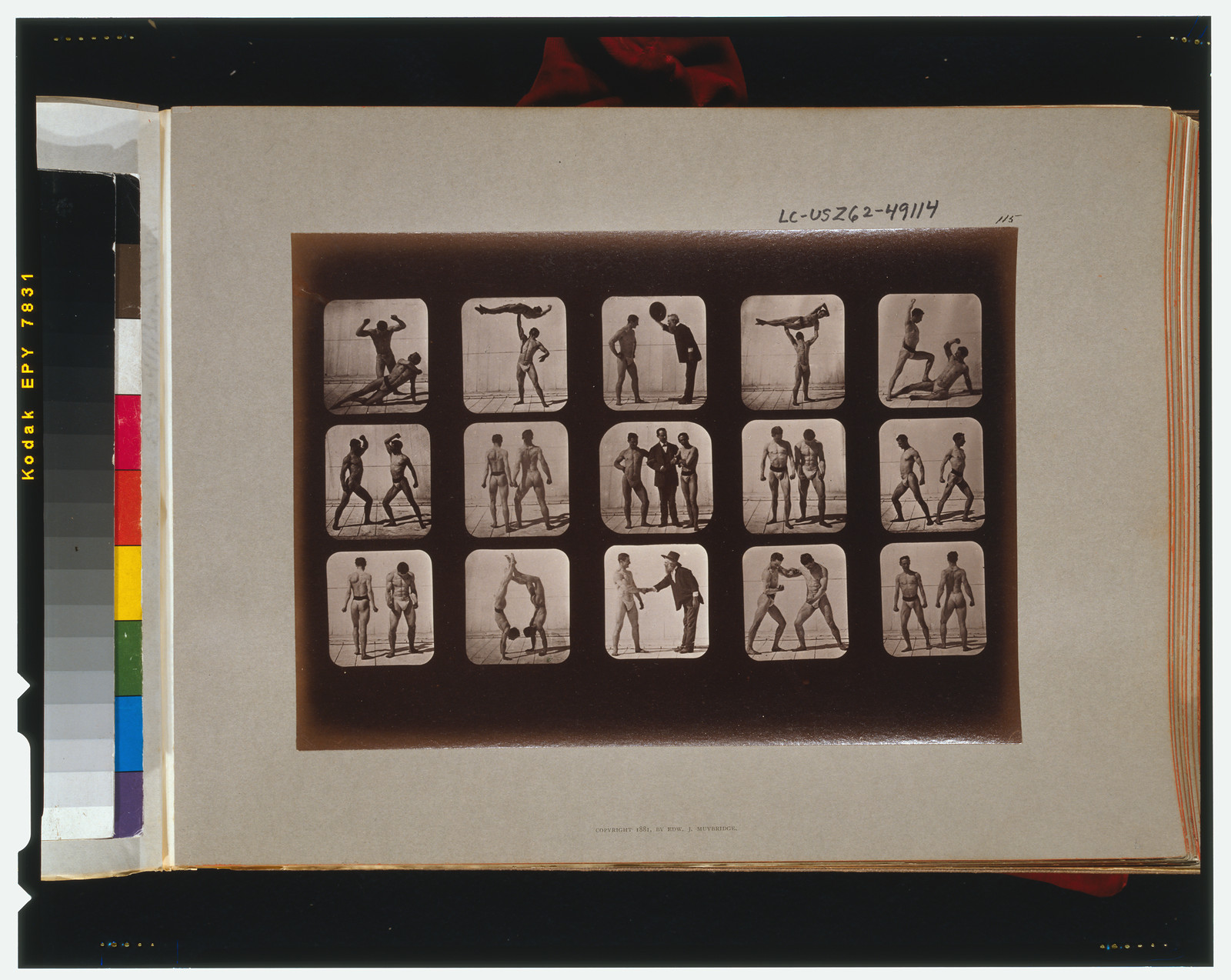 Athletes. Posturing, [San Francisco] : Muybridge, c1881. — historic photograph