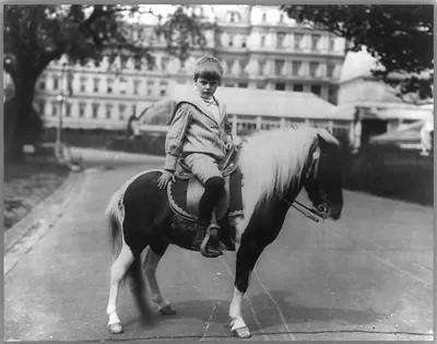Archie Roosevelt on pony, Algonquin""