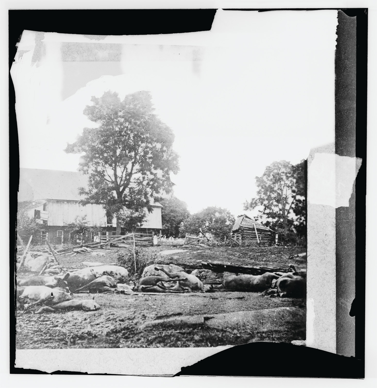 Gettysburg Pennsylvania. View at Trostles barn where the 9th Massachusetts Battery, 1863 — historic photograph