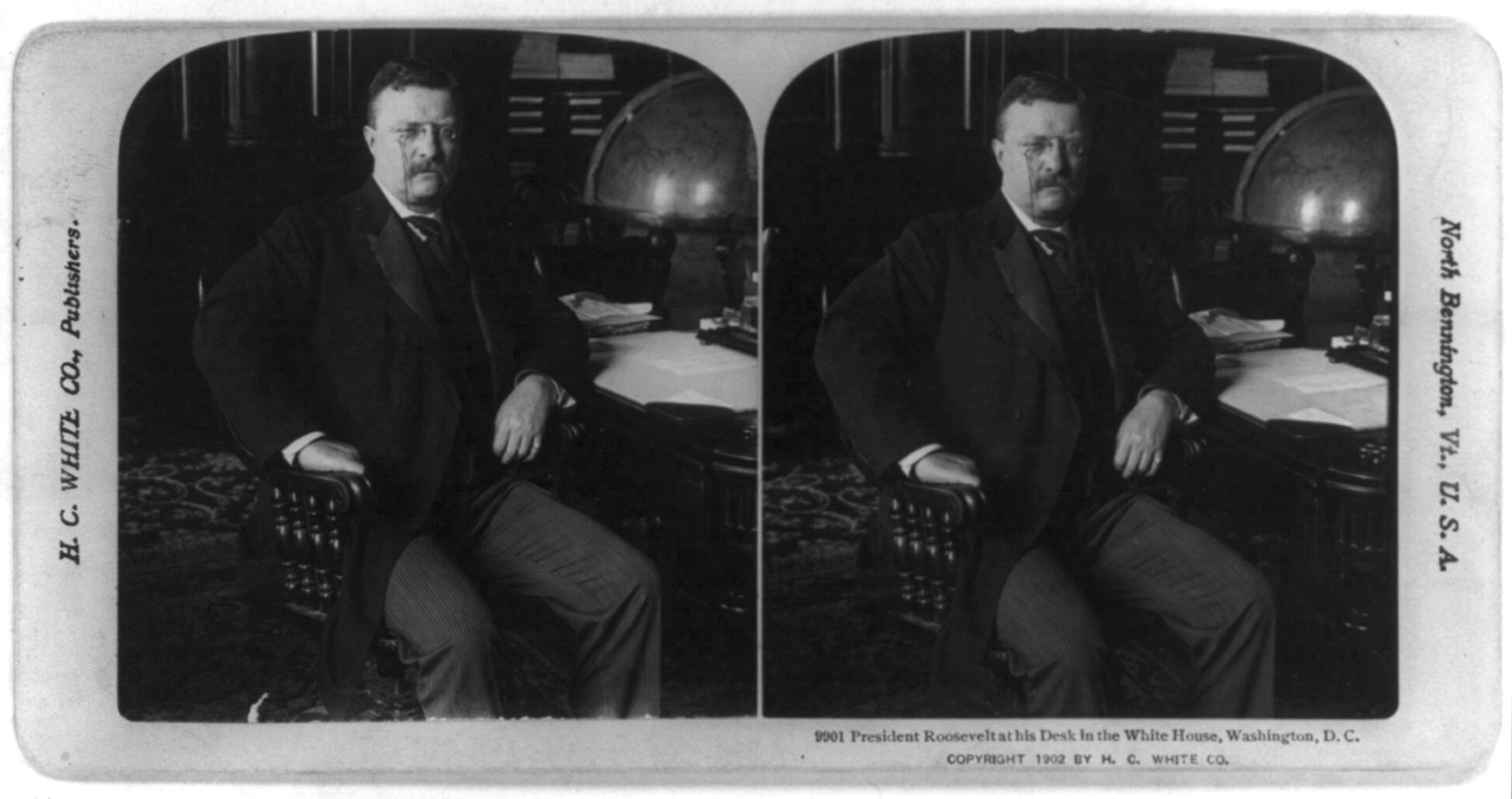 President [Theodore] Roosevelt at his desk in the White House, Washington, D.C., c1902. — historic photograph