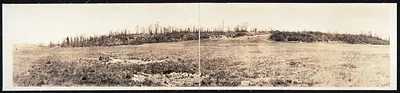 Belleau Woods, France, 1918