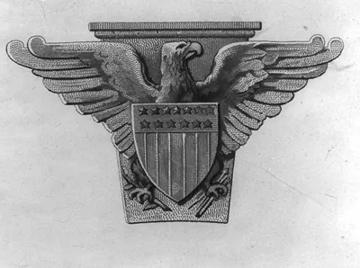The eagle, emblem of America
