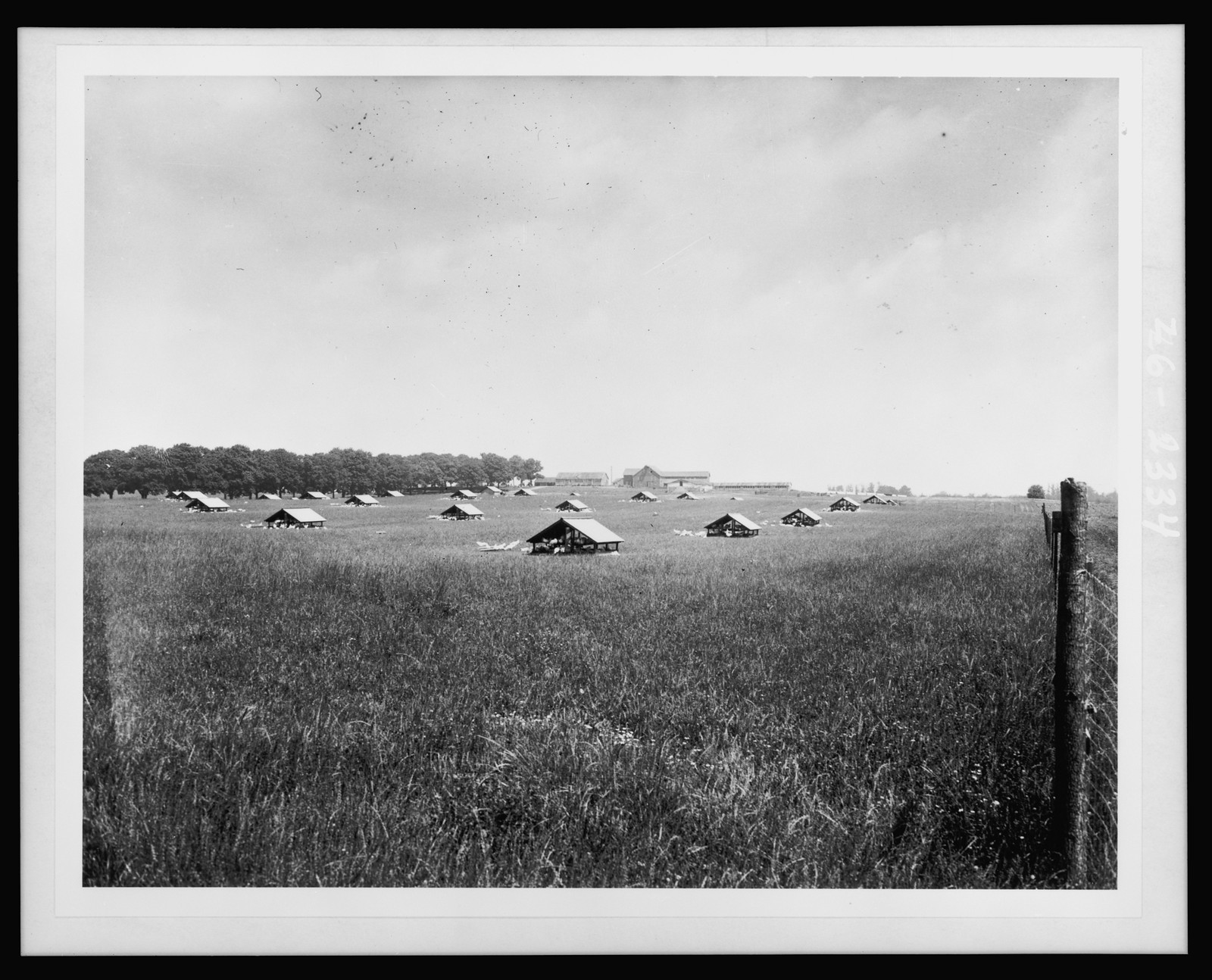 Poultry farm adjoining project. Hightstown, New Jersey, 1935 — historic photograph