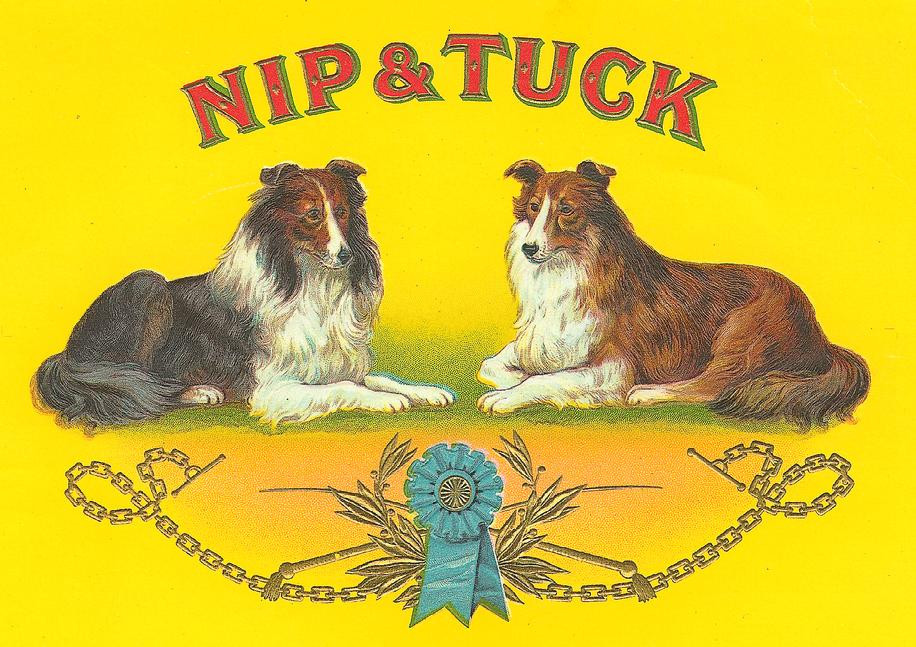 Dog30 — historic image