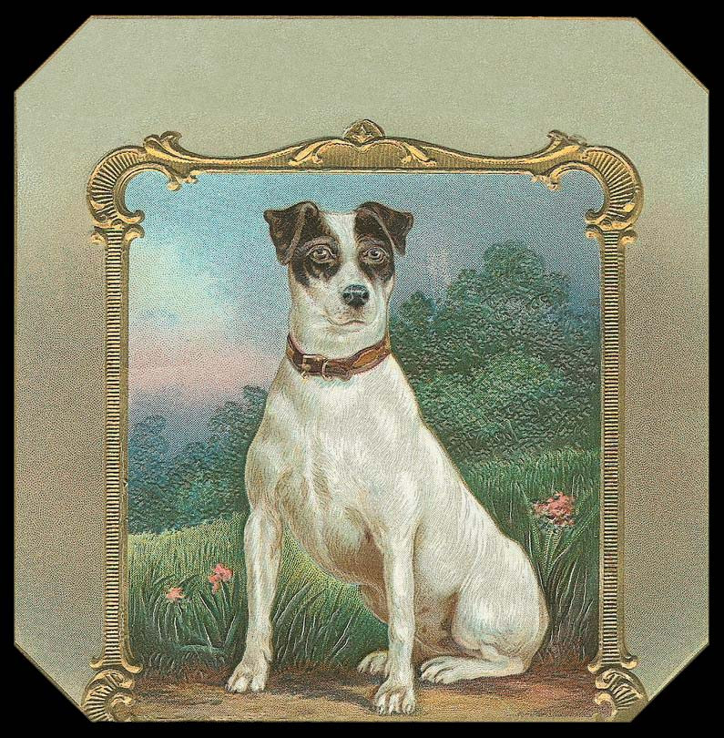 Seated white and tan terrier with brown collar, ornate gold frame — historic image