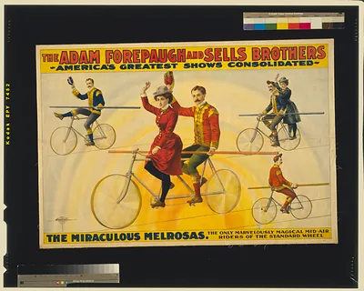 The Adam Forepaugh and Sells Brothers, America's greatest shows consolidated--The miraculous Melrosas