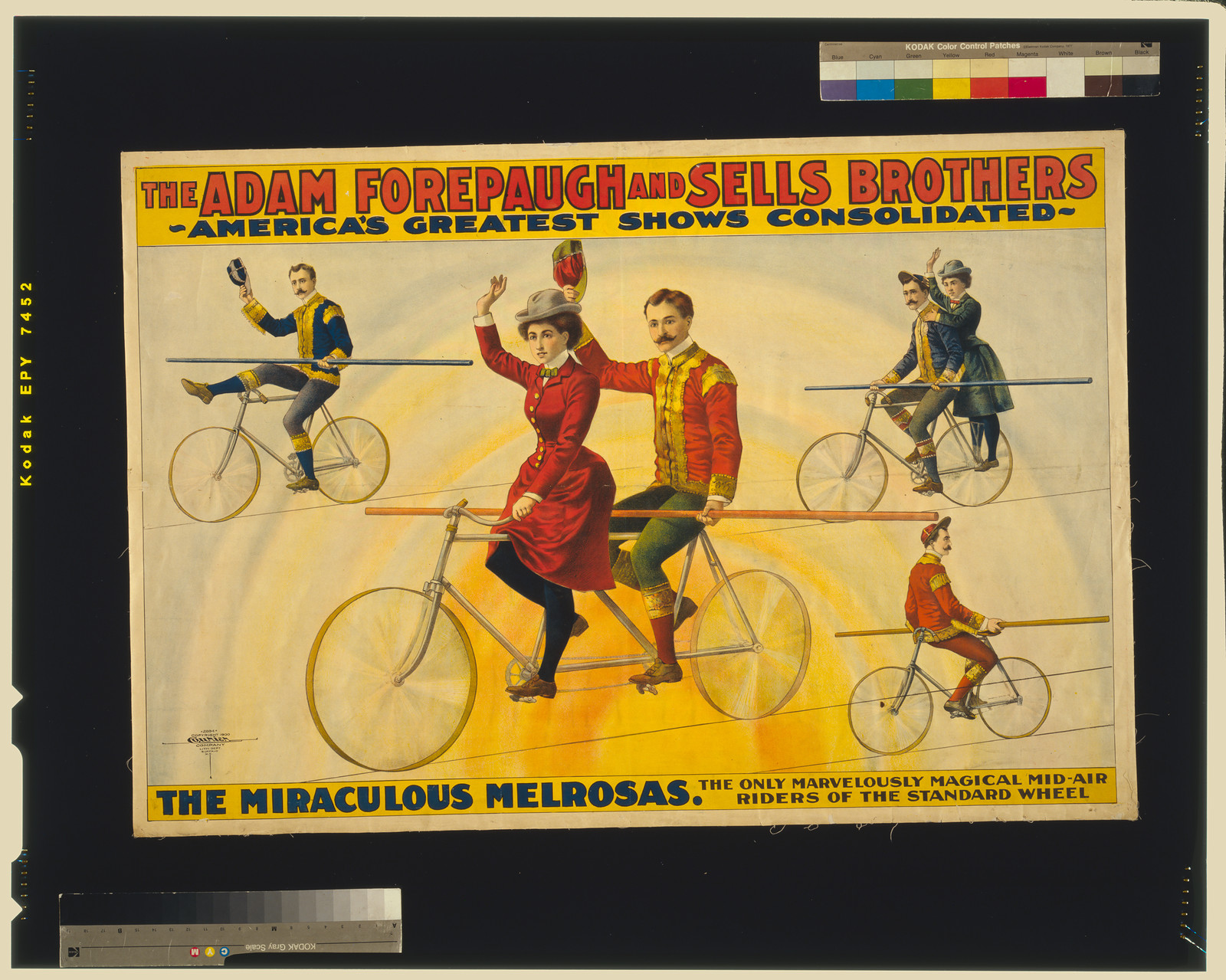 The Adam Forepaugh and Sells Brothers, America's greatest shows consolidated--The miraculous Melrosas, Buffalo, N[ew] Y[ork] : Courier Company Lith. Dept., c1900. — vintage poster