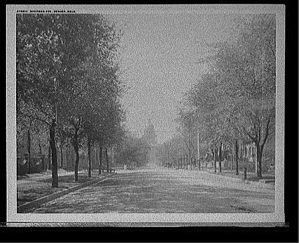 Sherman Ave., Denver, Colo., [between 1900 and 1920] — historic photograph
