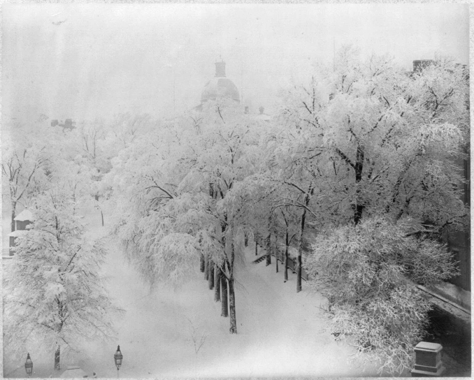 Snow Scene on Boston Common on the Morning of February 29, 1884: View No. 2"", 1884 — historic photograph