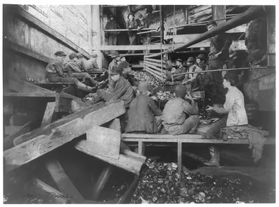 [Breaker boys in Kohinor mine, Shenandoah City, Pa.]