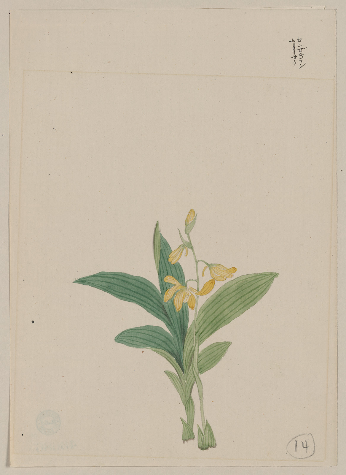 [Japanese drawing], 1750 — historic drawing