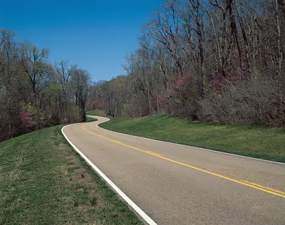 Winding road through spring woodland with redbuds