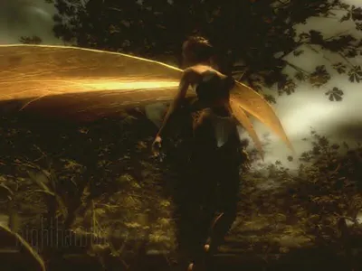 Winged fairy with golden wings in a dim forest