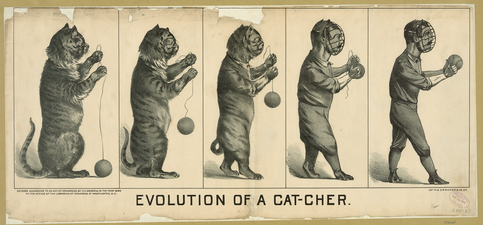 Evolution of a Cat-cher — historic image