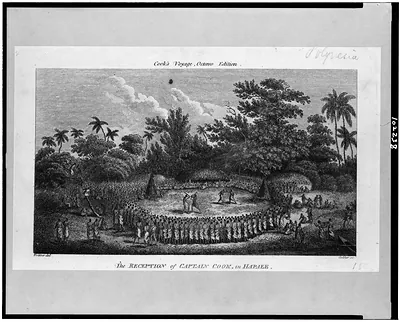 The Reception of Captain Cook, in Hapaee / Webber del. ; Goldar, sc.