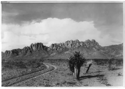 Organ Mts., New Mexico
