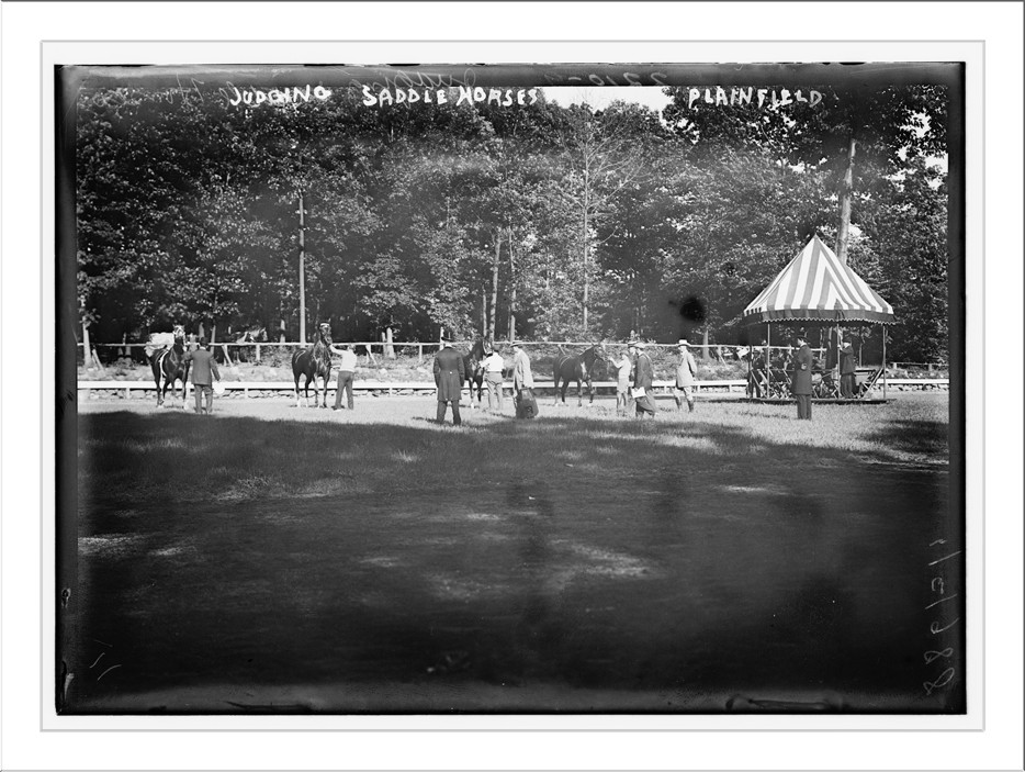 Judging Saddle Horses, Plainfield, n/a — historic photograph