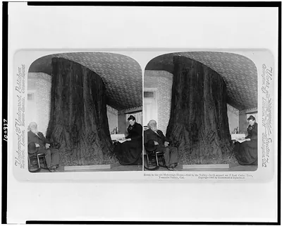 Room in the old Hutchings House--first in the valley--built around an 8 foot cedar tree, Yosemite Valley, Cal.