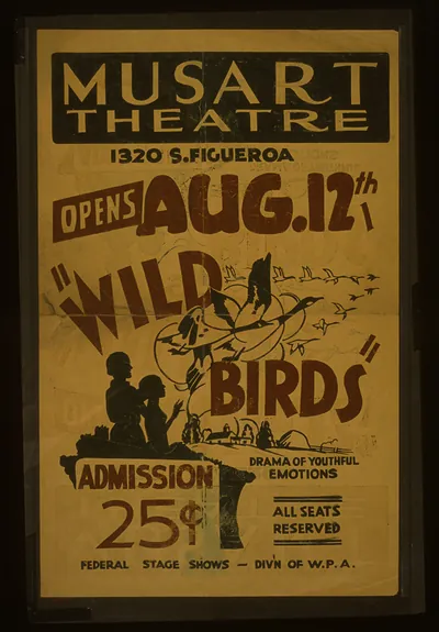 Wild birds Drama of youthful emotions.