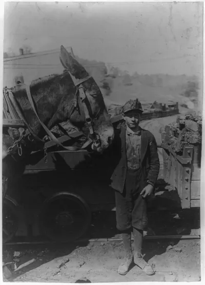 Harry and Sallie. Driver in Maryland Coal Co. Mine, near Sand Lick, Grafton, W. Va. Was afraid to be photo'd because we might make him go to school. Probably 12 years old. Location: Grafton, West Virginia.