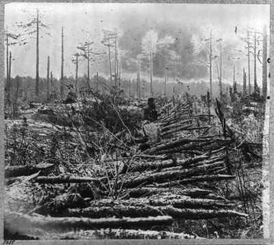 Confederate Entrenchments near junction of old and new Court House Roads, [Spotsylvania, Virginia]