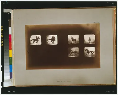 Horses. Running--Horses. Cantering