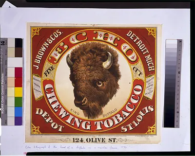 Echo chewing tobacco--King buffalo--Fine cut / St. Louis Democrat Label Press.