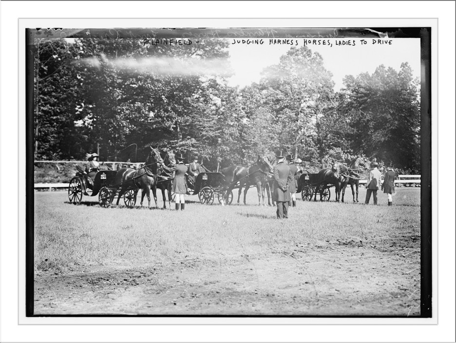 Plainfield, Judging Harness Horses, Ladies to drive, n/a — historic photograph