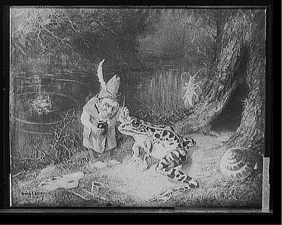 [Little old man of the woods], c[between 1900 and 1920] — historic photograph