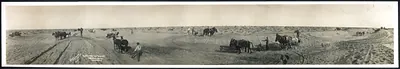 Subduing the desert, Imperial Valley, California
