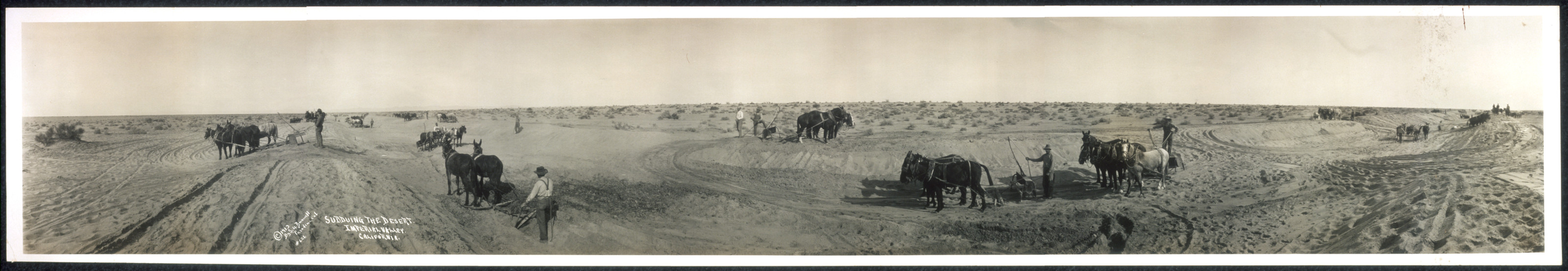 Subduing the desert, Imperial Valley, California, c1913. — historic photograph