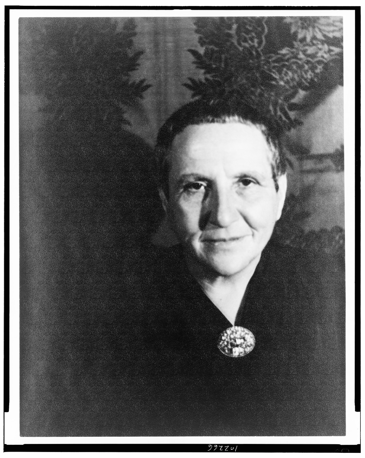 [Portrait of Gertrude Stein, New York], 1934 Nov. 4. — historic photograph