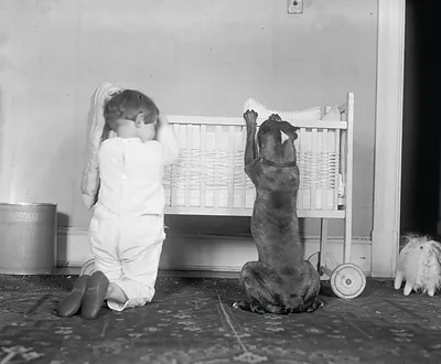 Toddler and dog beside a wicker crib