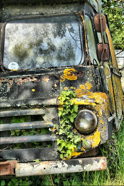Rusted derelict van front covered in lichen and ivy