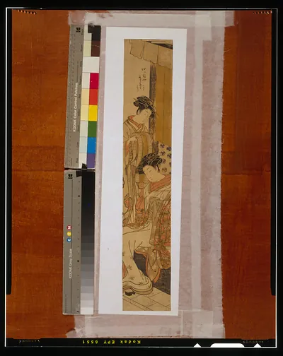Yotsumeya Nishikigi