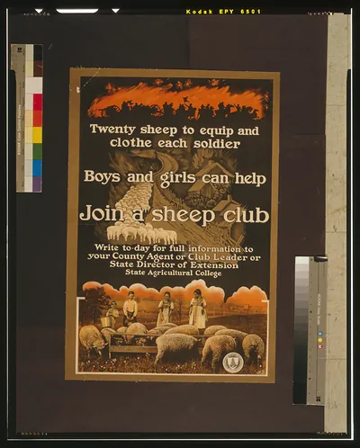 Join a sheep club Twenty sheep to equip and clothe each soldier / HS.