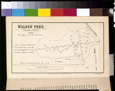 Walden Pond, A Reduced Plan, 1846