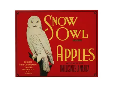 Snow Owl Brand Apples crate label, Perham Fruit Corporation