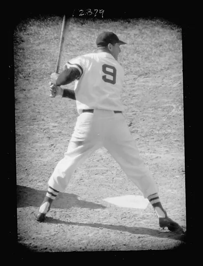 [Ted Williams, Boston Red Sox baseball player, at bat] / Bob Sandberg.