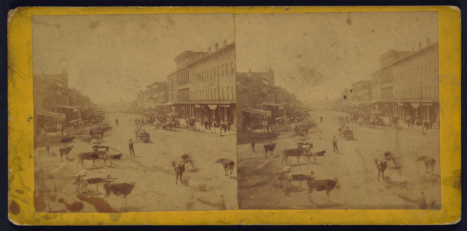 Massachusetts Street Lawrence Kansas (cattle in foreground) 323 miles west of St. Louis Mo., 1867 — historic photograph