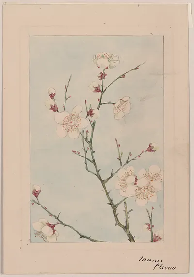 [Japanese drawing]