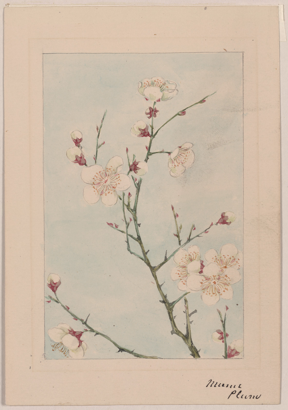 [Japanese drawing], 1750 — historic drawing
