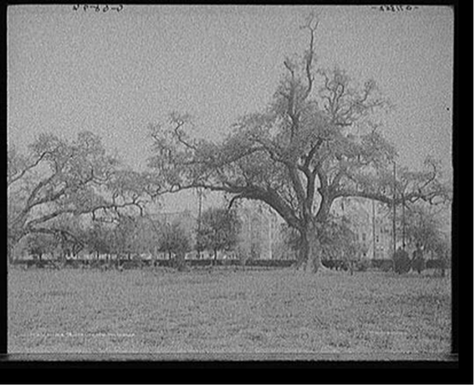 Tulane University, New Orleans, La., c[1910?] — historic photograph