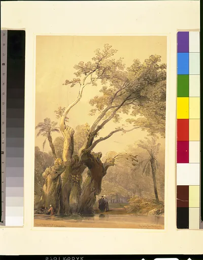 The holy tree, Metereah / David Roberts, R.A.