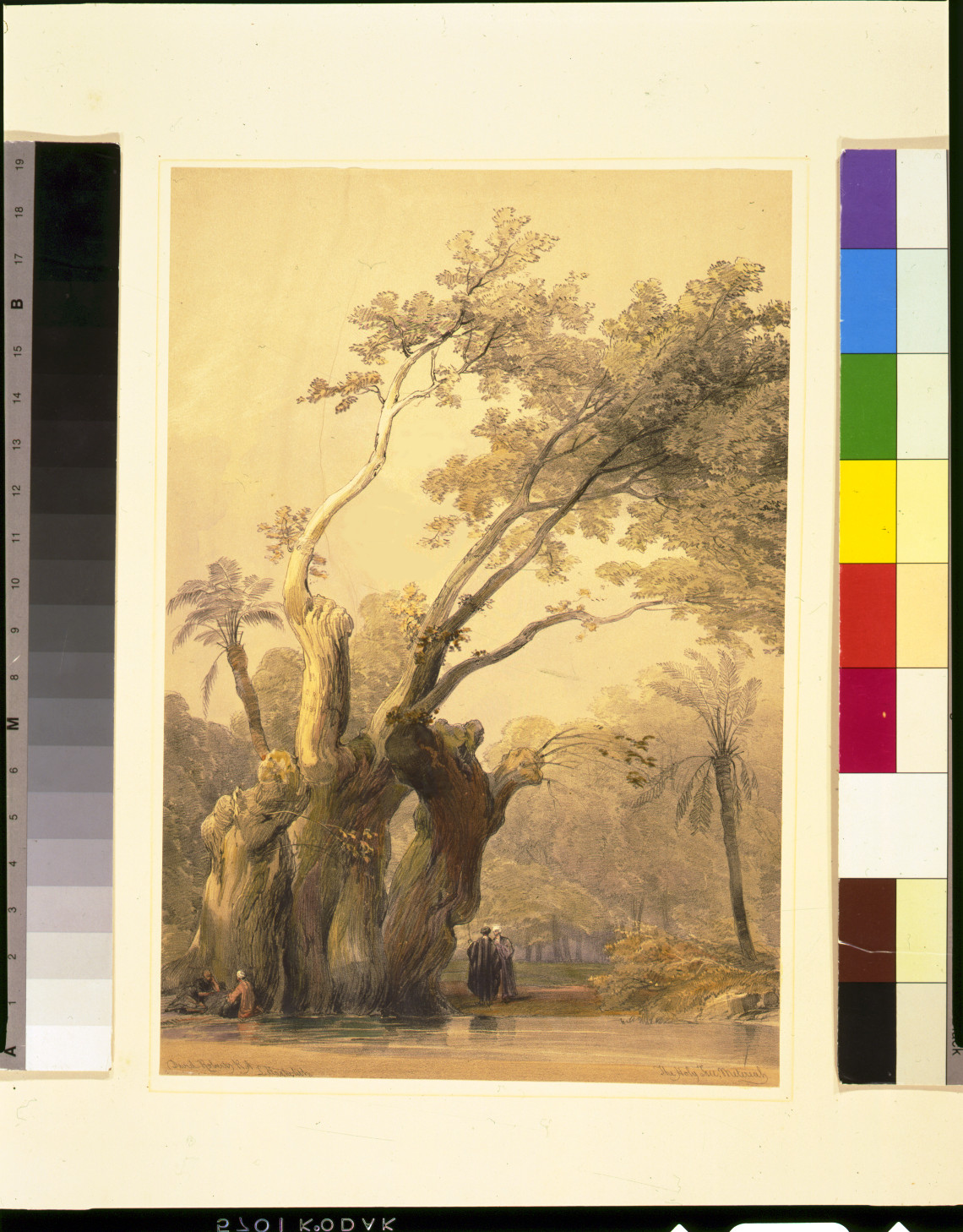 The holy tree, Metereah / David Roberts, R.A., [published between 1846 and 1849] — antique lithograph